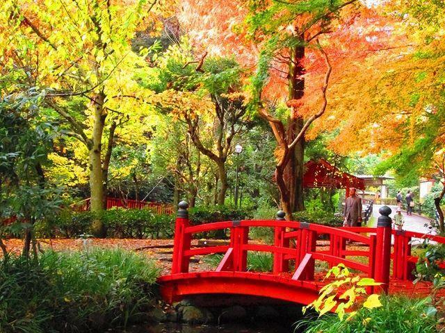 Отель Hakone Pacific Экстерьер фото