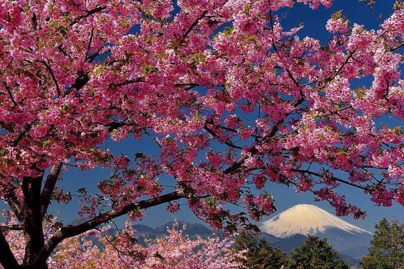 Отель Hakone Pacific Экстерьер фото