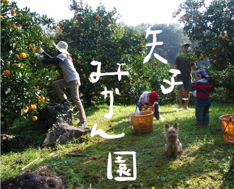 Отель Hakone Pacific Экстерьер фото