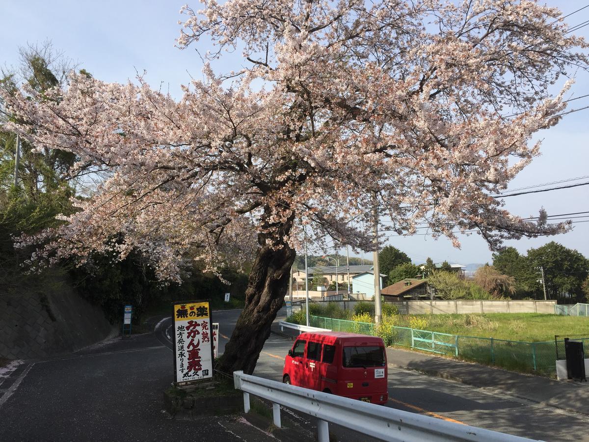 Отель Hakone Pacific Экстерьер фото