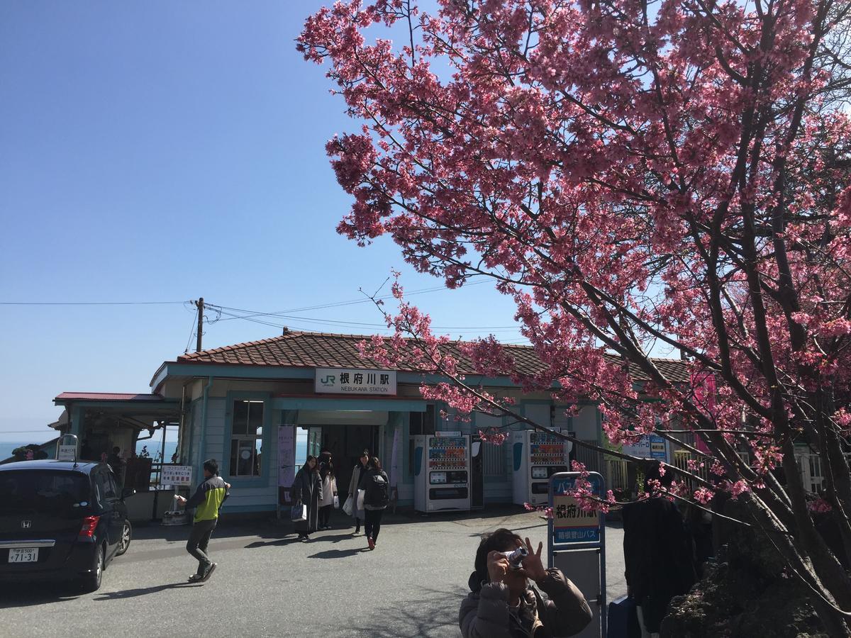 Отель Hakone Pacific Экстерьер фото