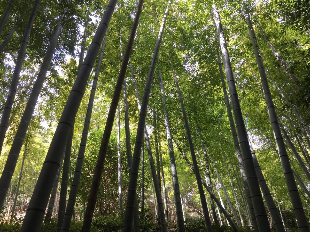 Отель Hakone Pacific Экстерьер фото