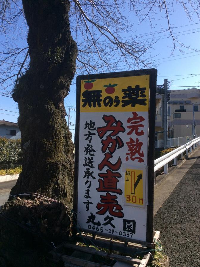 Отель Hakone Pacific Экстерьер фото